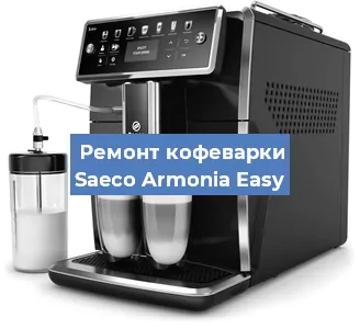 Чистка кофемашины Saeco Armonia Easy от кофейных масел в Новосибирске